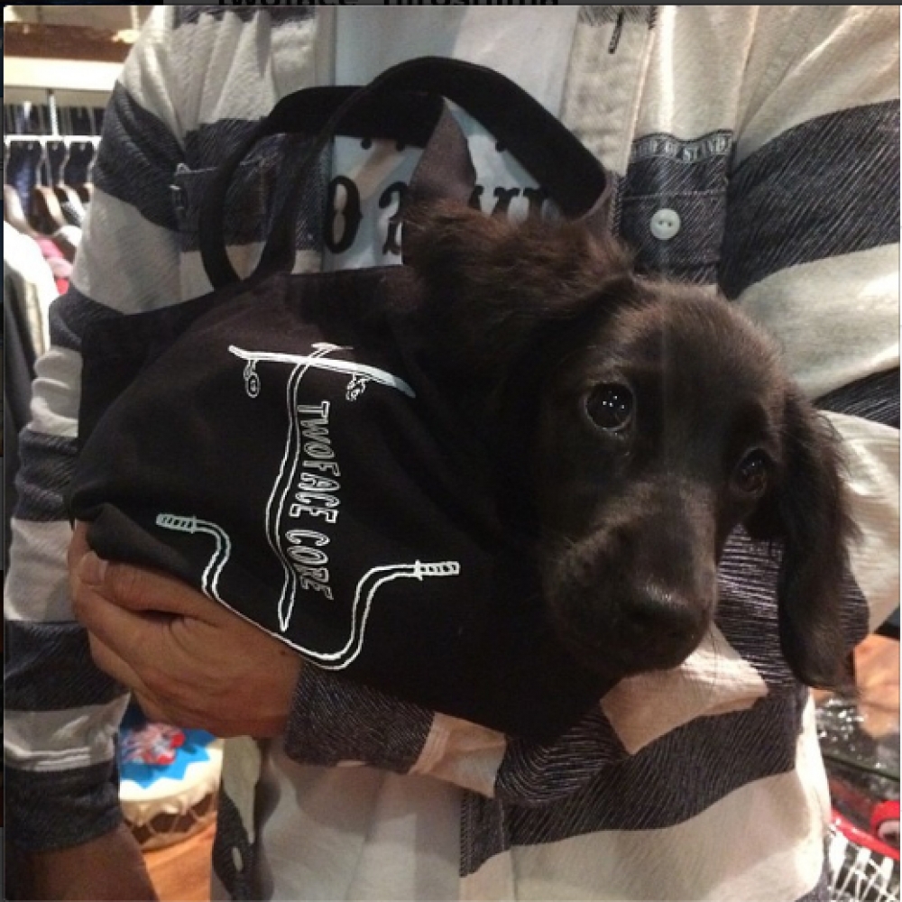 ツーフェイス オリジナル ミニトート バッグ