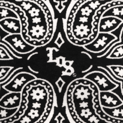 ロス オリジナル ペイズリー タオル