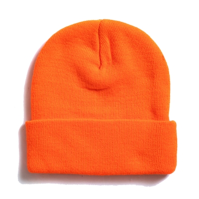 アップルバム  ロゴ ニット キャップ