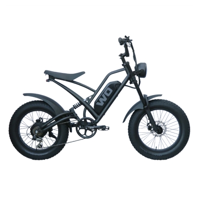 ダブルオー バイク M2X-1