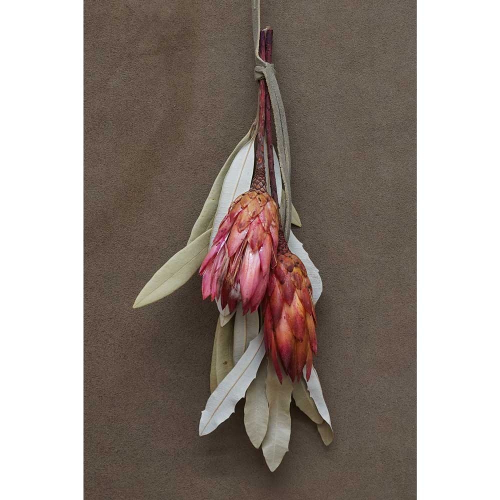 ランドスケーパーズ アロマ デュフューザー『D10b』