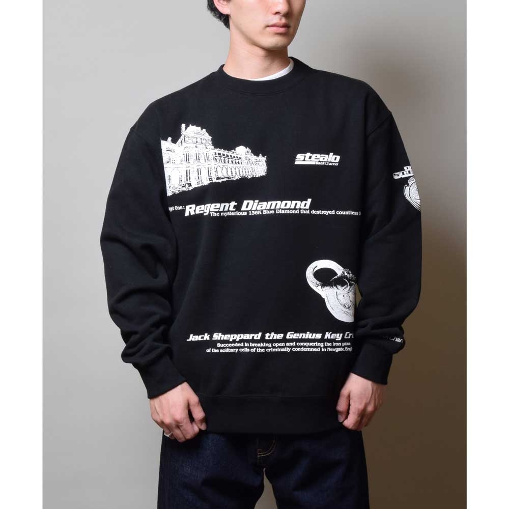 バックチャンネル ステレオ クルー スウェット | BACK CHANNEL STEALO