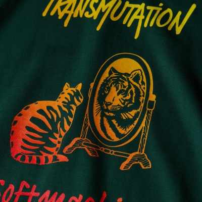 ソフトマシーン トランスミューテーション ティー