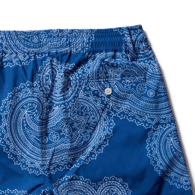 ソフトマシーン ジェネ ボード ショーツ