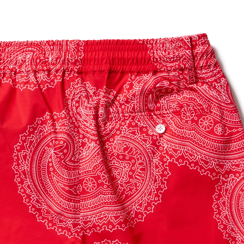 ソフトマシーン ジェネ ボード ショーツ