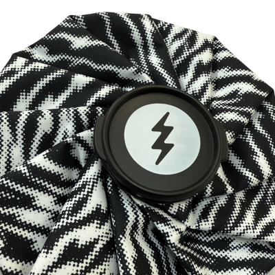 エレクトリック アイス ボックス