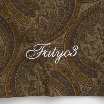 エフエーティー フィバーシック