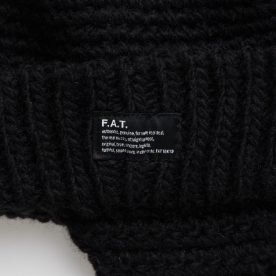 エフエーティー エアローバー