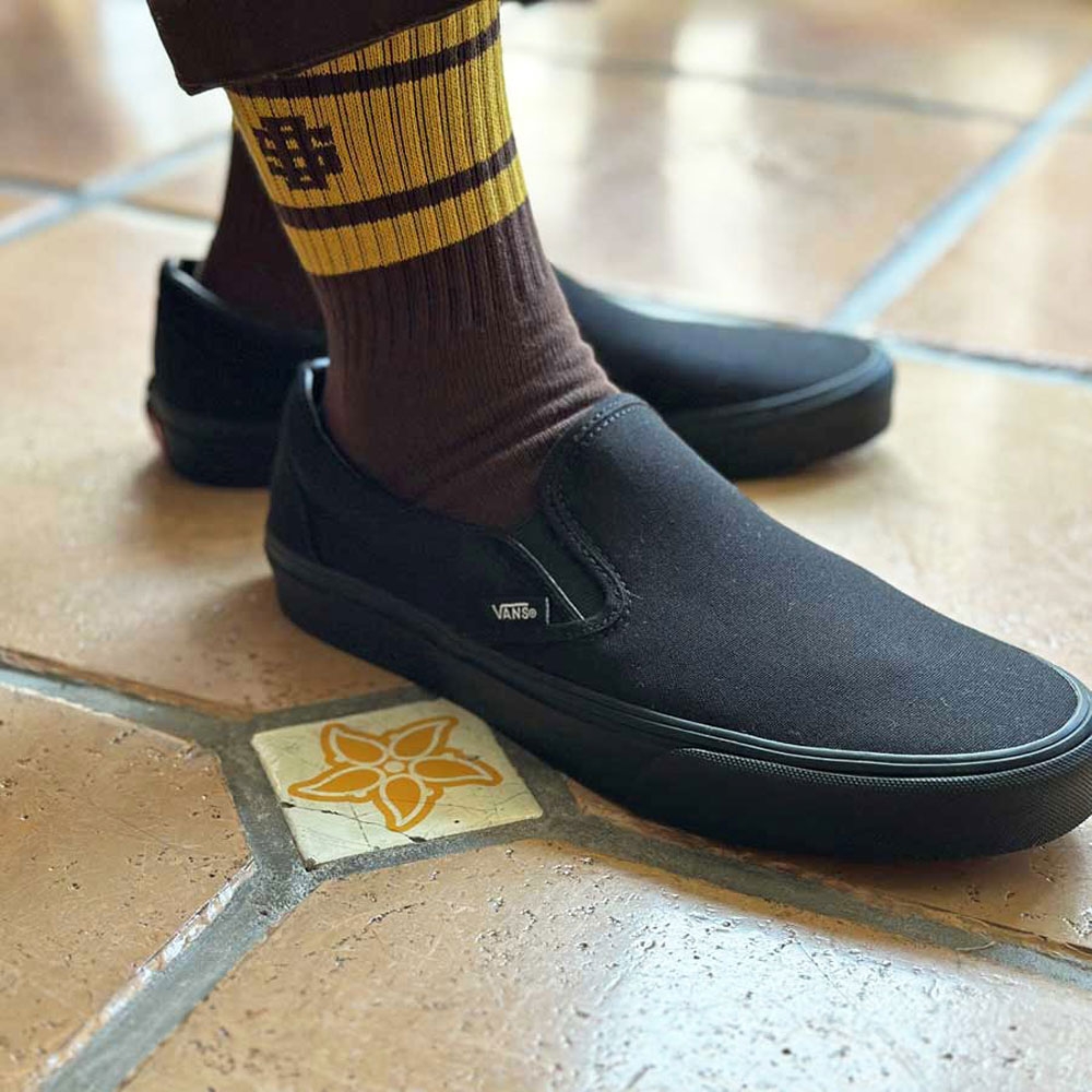 スタンダードカリフォルニア スポーツ ソックス 2P タイプ2