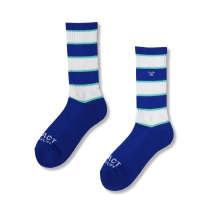 イーブルアクト ボーダー ソックス