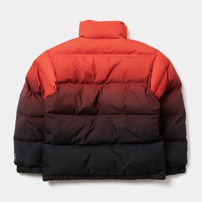 アップルバム グラデーション パフ ジャケット