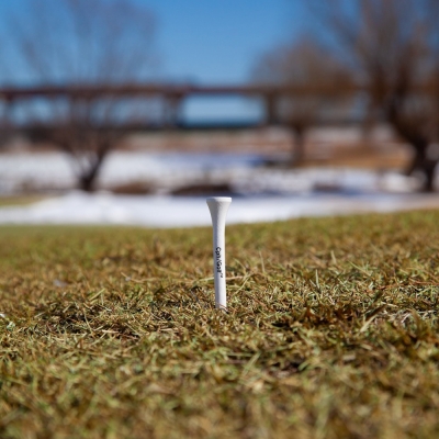 キャプテンズヘルム ゴルフ  ジョーンズ　ウッドティー 50ピース