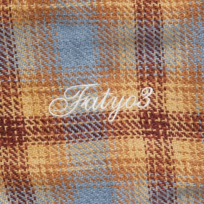 エフエーティー ギガンネル