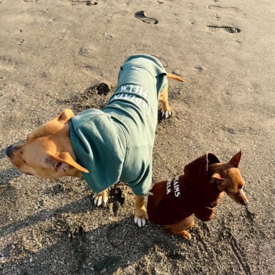 キャプテンズヘルム ドッグス フーディー