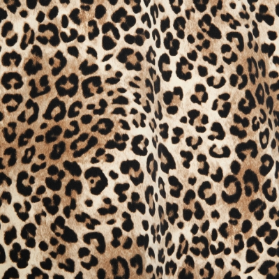 アップルバム “レオパード” コーチ ジャケット