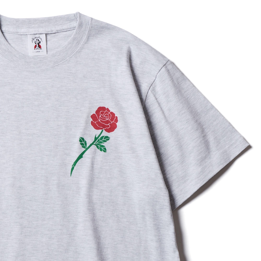 【先行予約専用ページ】ソフトマシーン バリュー ティー